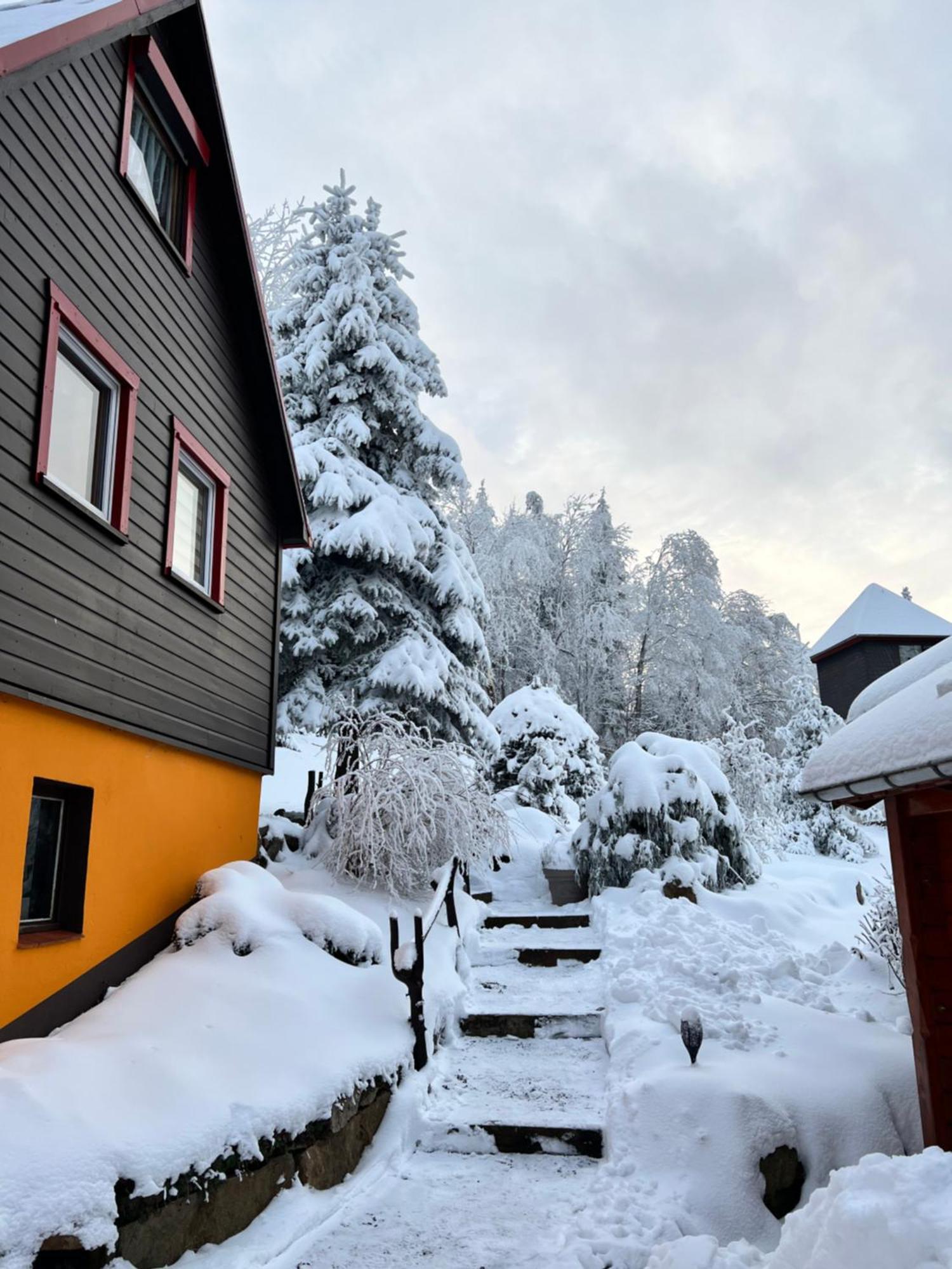 Haus Tadeus Apartment Altenberg Exterior photo